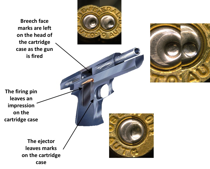 Shelling Out Evidence: NIST Ballistic Standard Helps Tie Guns to Criminals